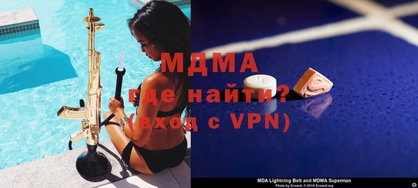 твердый Гусев