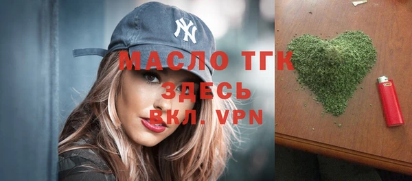 твердый Гусев