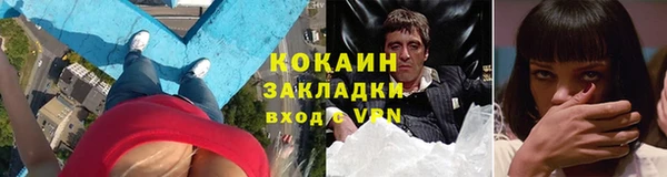твердый Гусев
