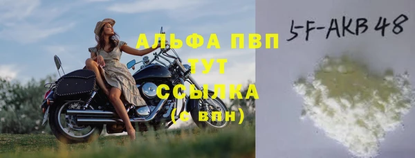 твердый Гусев