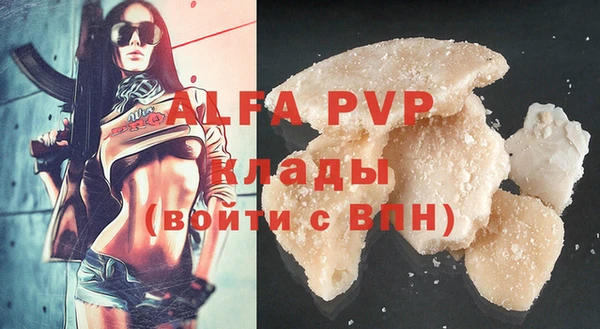 твердый Гусев