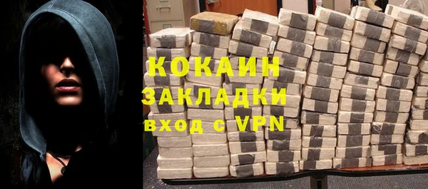 твердый Гусев