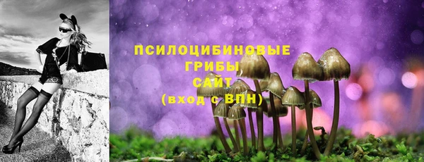 ALPHA-PVP Гусиноозёрск