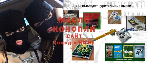 твердый Гусев