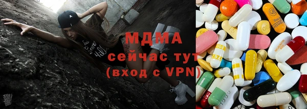 мяу мяу мука Горняк