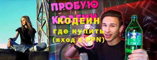 твердый Гусев