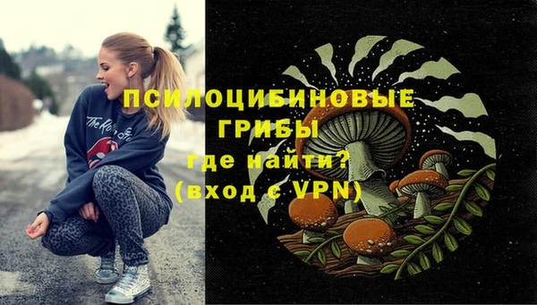 дмт Гусь-Хрустальный