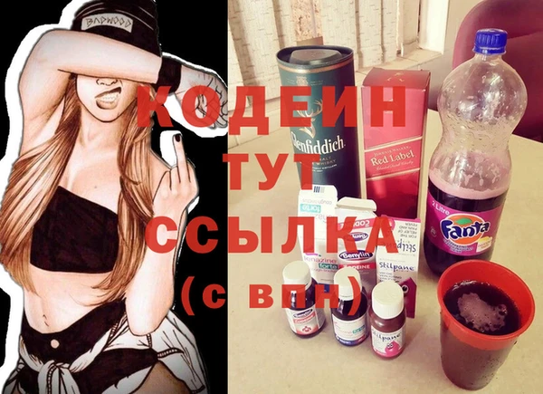 твердый Гусев