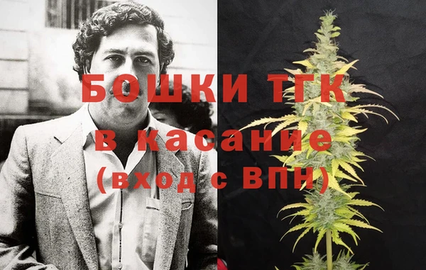 дмт Гусь-Хрустальный